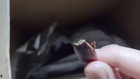 崽崽吃瓜视频在线观看免费,免费在线观看，揭秘娱乐圈幕后故事